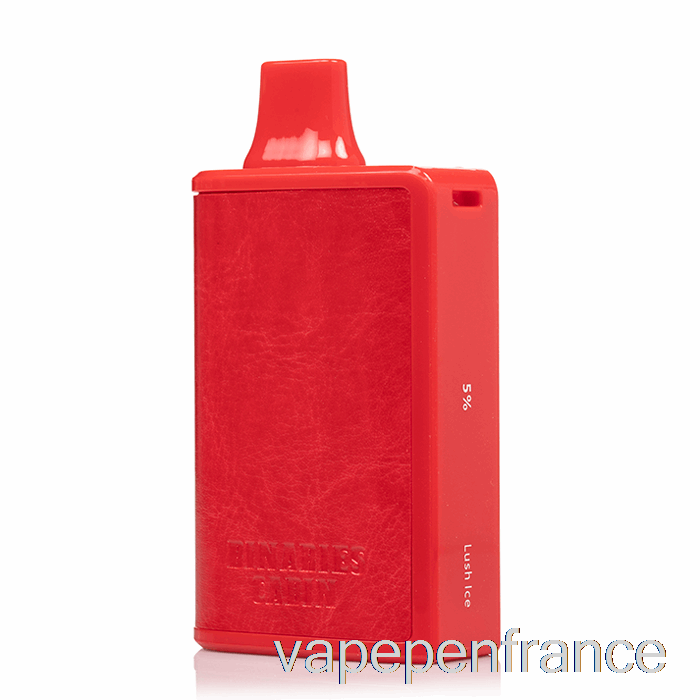 Horizon Binaries Cabin 10000 Stylo Jetable à Glace Luxuriante